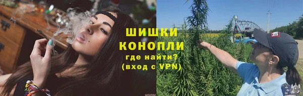 гидра Армянск