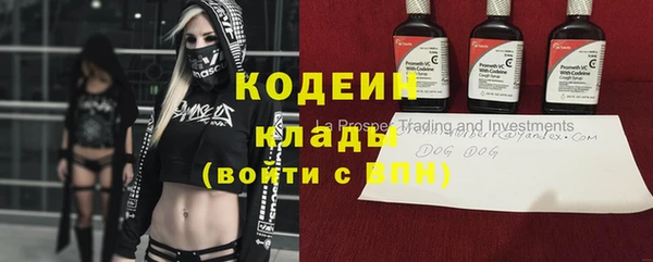 гидра Армянск